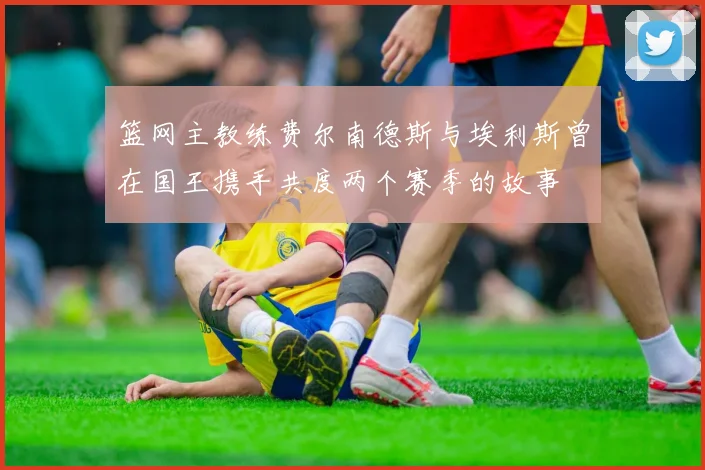 篮网主教练费尔南德斯与埃利斯曾在国王携手共度两个赛季的故事