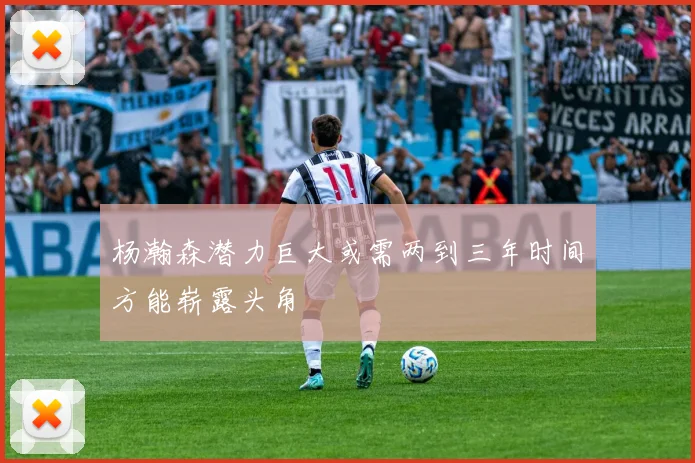 杨瀚森潜力巨大或需两到三年时间方能崭露头角